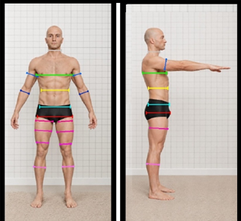 Mapeamento de contornos anatômicos 2D e perimetria corporal masculina por foto no EvoluNutri IA